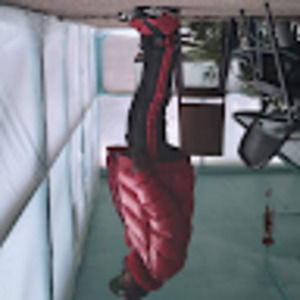 Meet your Posher, Dee